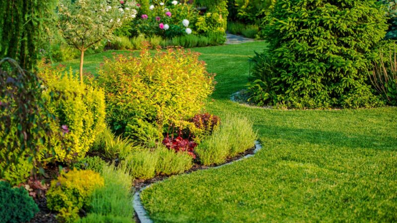 Giardino da sogno a basso costo: Trasforma il tuo spazio verde con un budget limitato