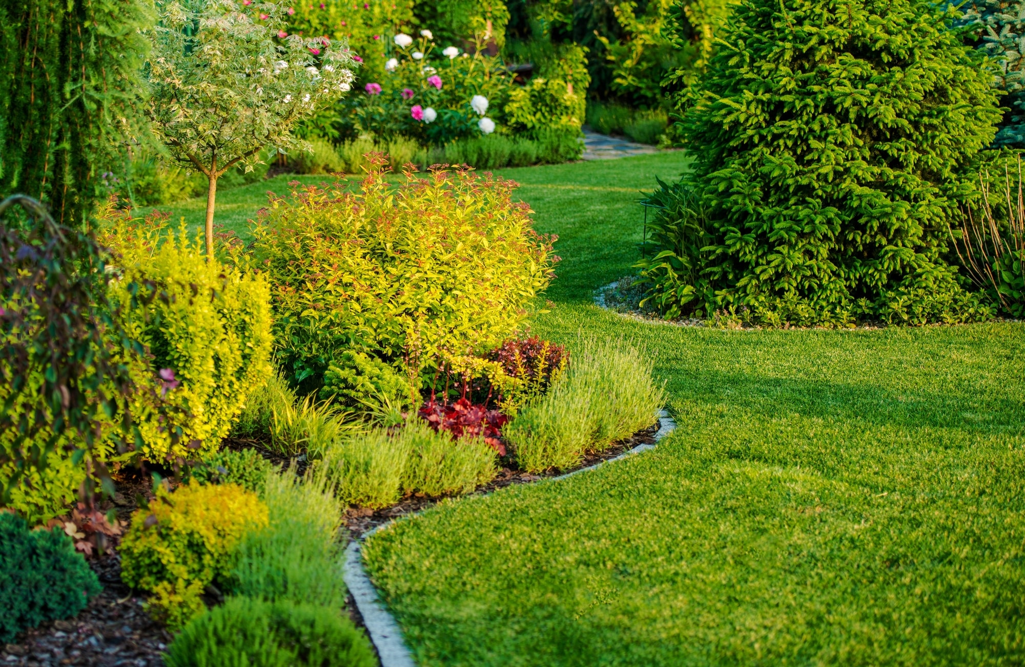 Giardino da sogno a basso costo: Trasforma il tuo spazio verde con un budget limitato