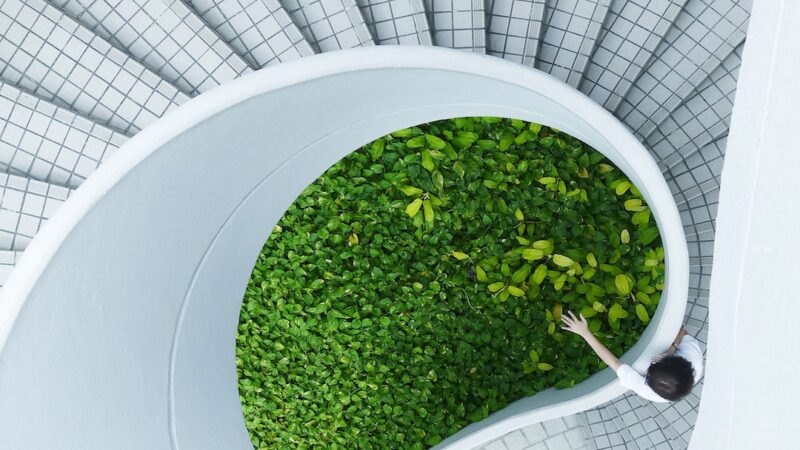 Architettura Green: Case Ecosostenibili