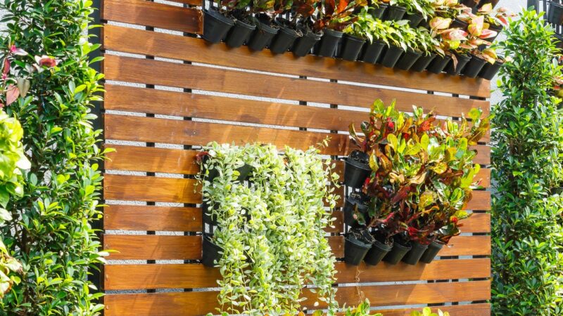 Come Creare un Giardino Verticale: Tutorial per Principianti
