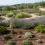 Giardino a Bassa Manutenzione: Guida Completa alle Piante e Soluzioni per Chi Ha Poco Tempo