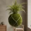Kokedama: Guida Completa all’Arte Giapponese delle Piante Sospese
