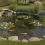 Laghetto da Giardino: Guida Completa alla Progettazione e Realizzazione